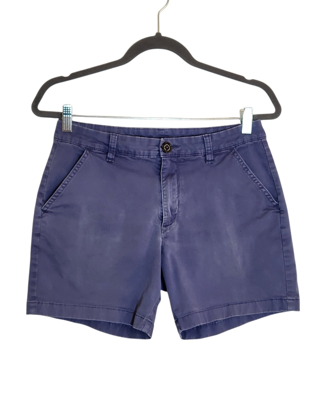 Chubbies Blue Chino Shorts Size 30